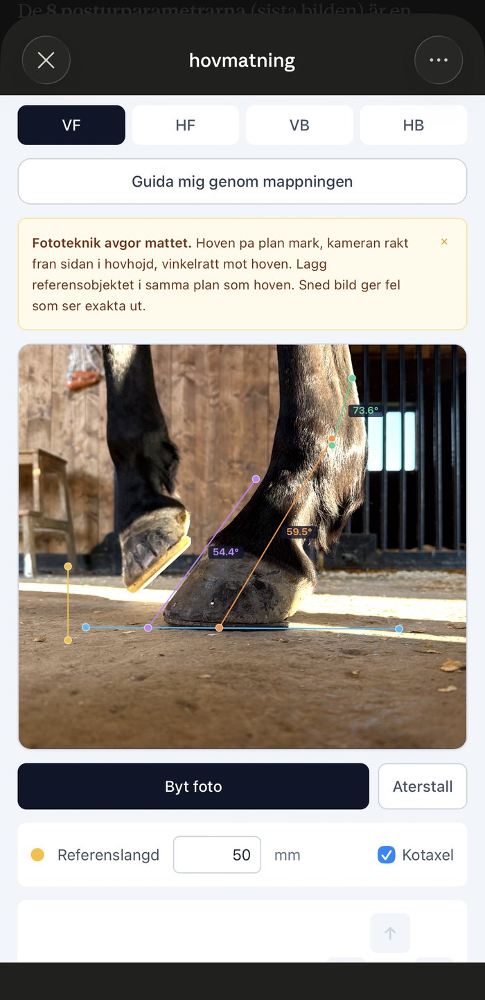 Equikura — hovmätning med vinklar på riktig hov