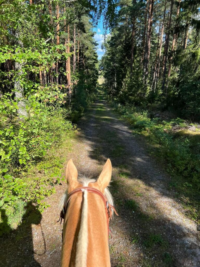 Ridväg i skogen vid Uddens Sjögård