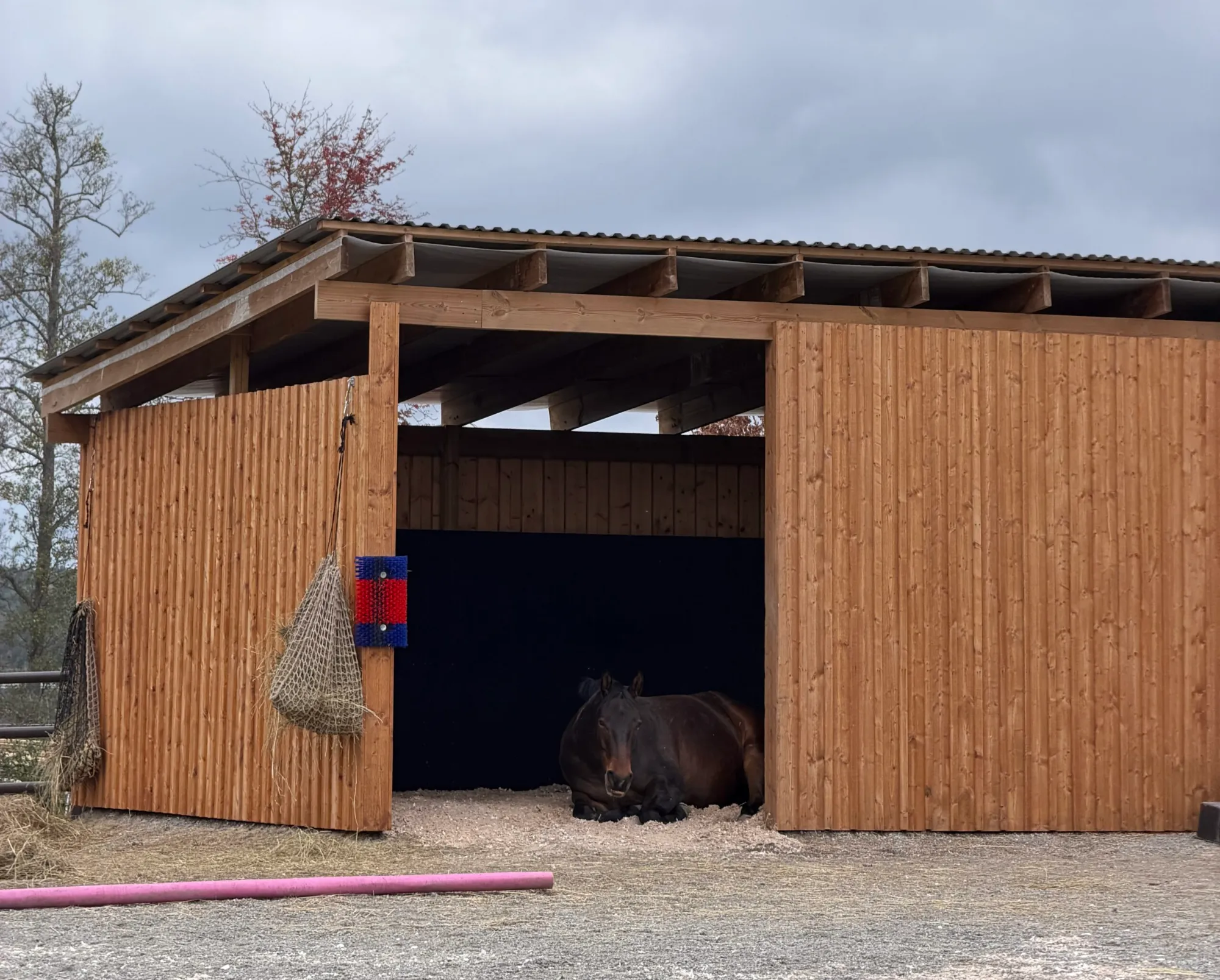 Häst som vilar i ligghallen på Uddens Sjögård